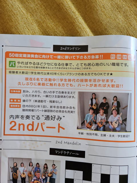 都会の海はいま カモメは見た大阪湾/幻想社/朝日新聞社